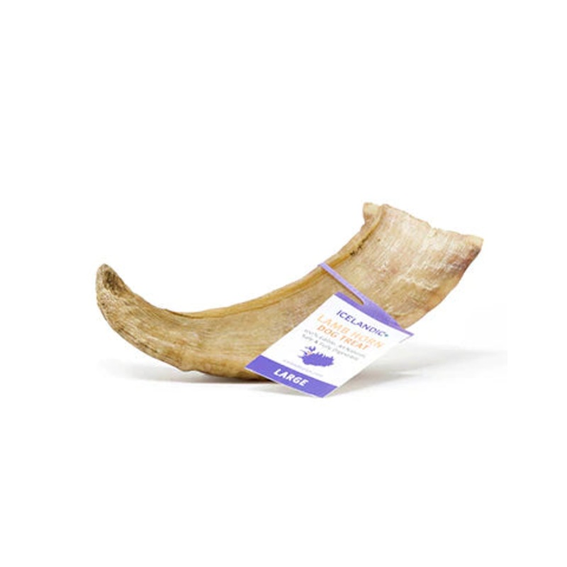 Icelandic+ Lamb Horn With Marrow Large