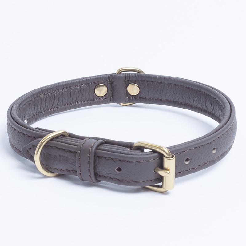 Angel Alpine Plain Dog Collar