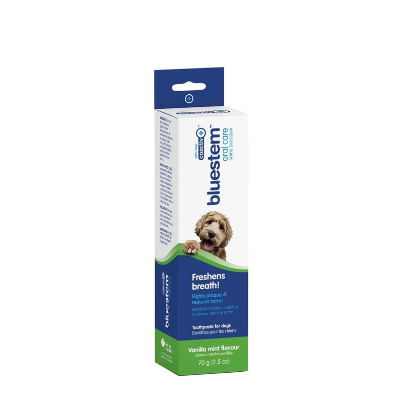 Bluestem Oral Care Toothpaste with coactiv+ Vanilla Mint Flavor for Dogs