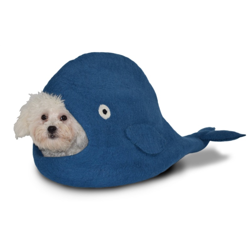 Dharma dog Karma Cat Wool Cave - Blue Whale Cave