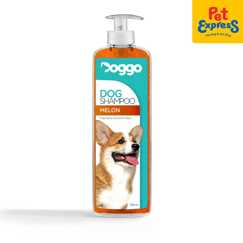 Doggo Dog Shampoo Melon Scent 250ml