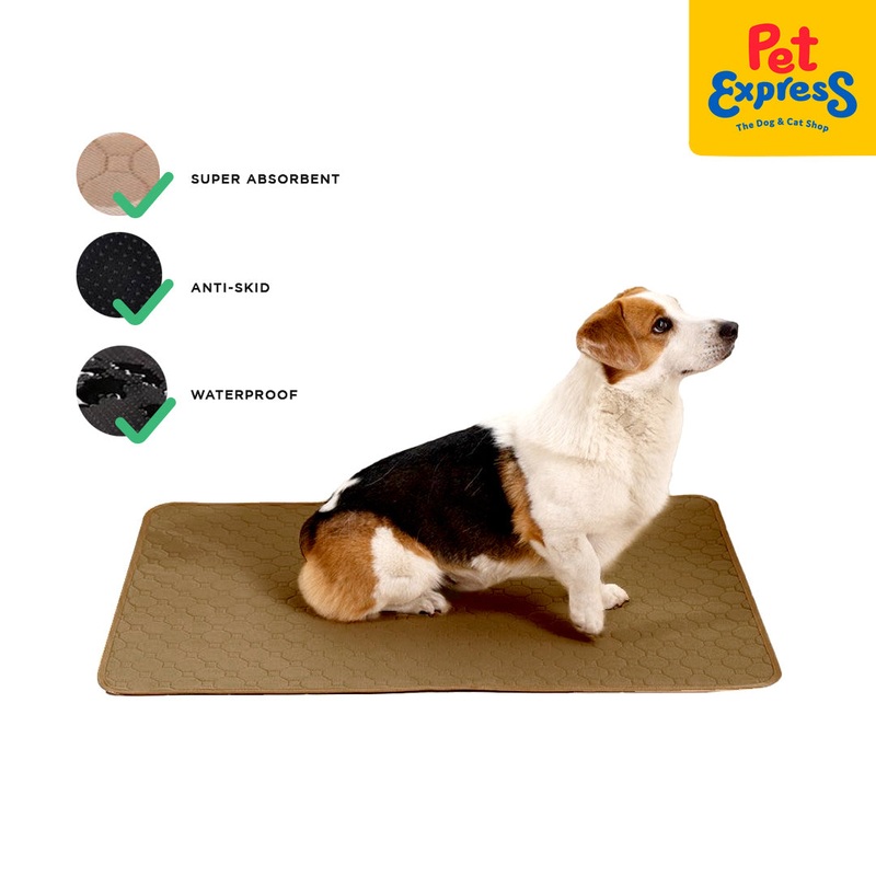 Pet Express Premium Washable Training Pad 50x70