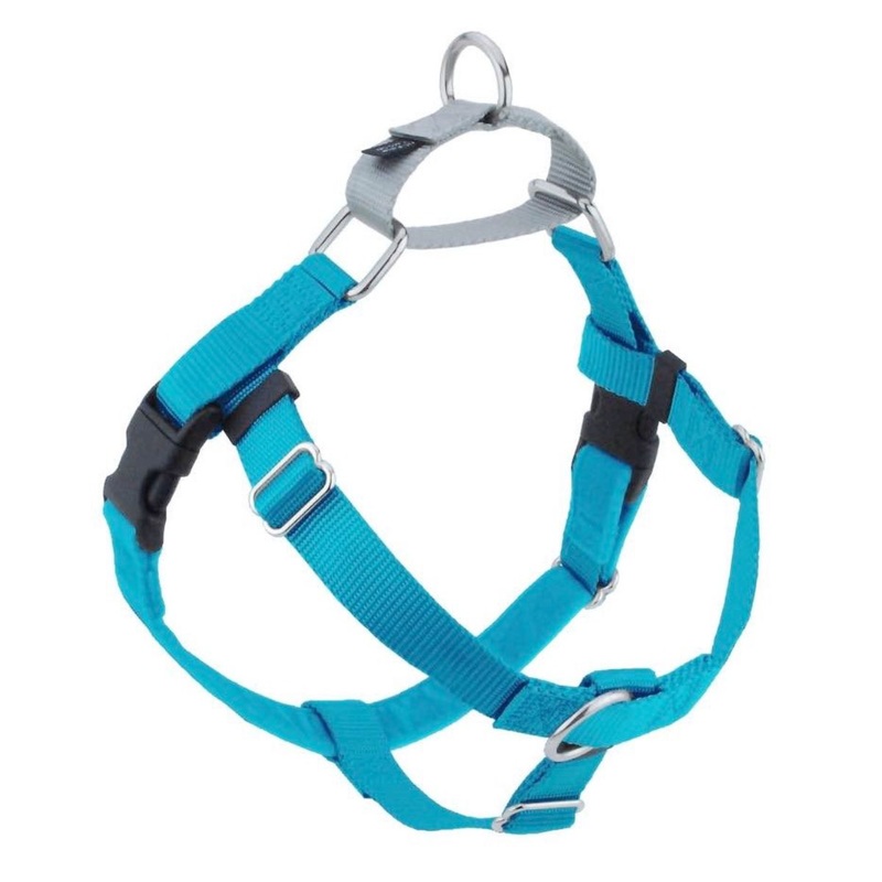 2 Hounds Design Freedom No-Pull Dog Harness Turquoise 1"XL 32"36"