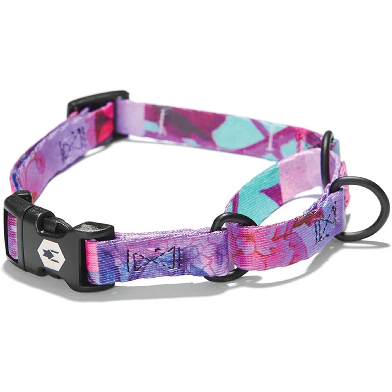 Coastal Drop Wolfgang Martingale Daydream Medium Dog Collar 14-18"