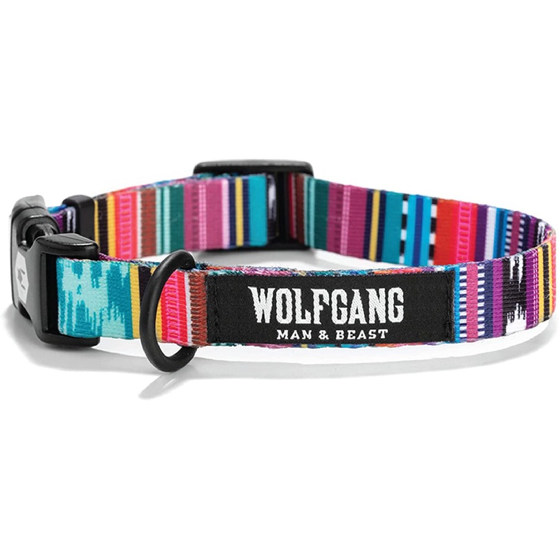 Coastal Drop Wolfgang Martingale Quetzal Small Dog Collar 8-12"