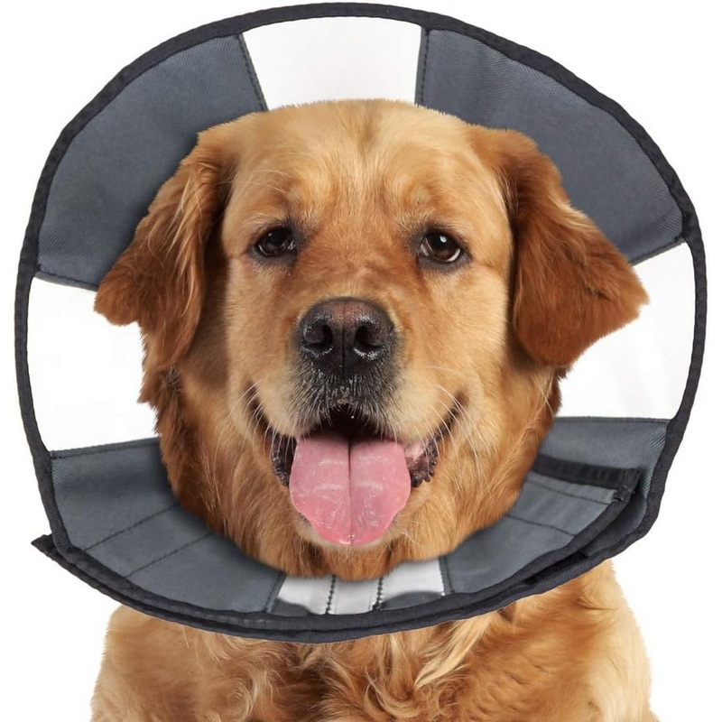 ZenPet ZenCone XL 18-23"