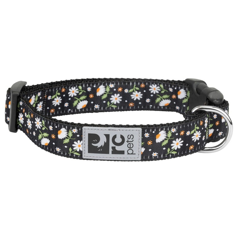 RC Pets Primary Clip Collar Daisies Small 3/4" Width
