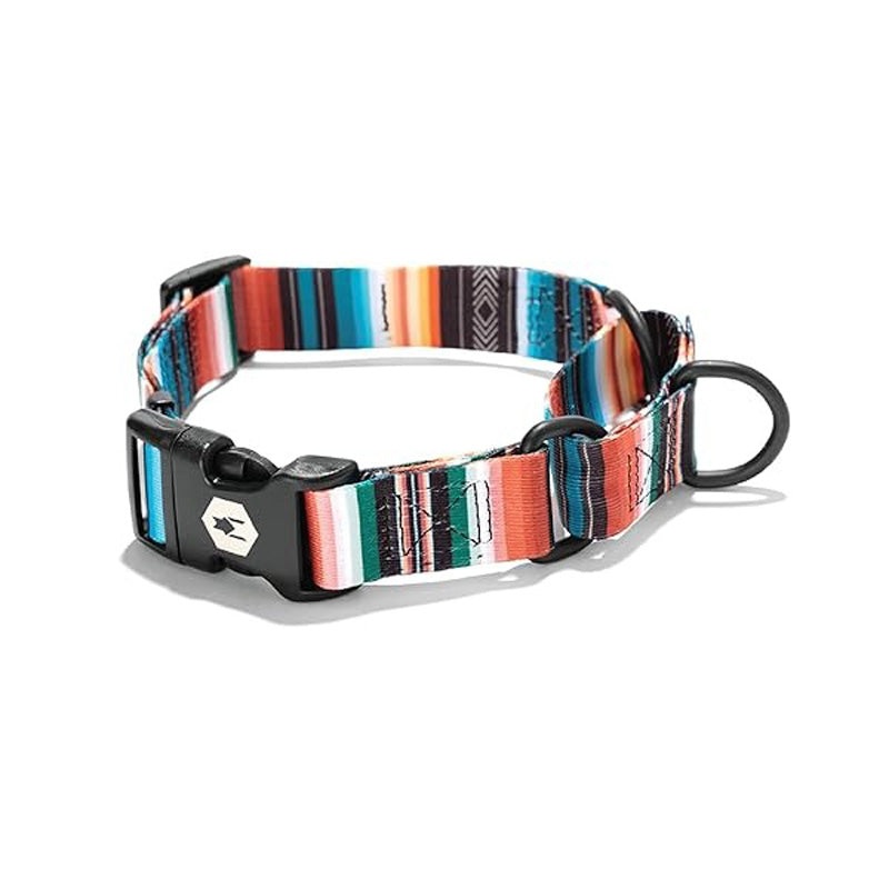 Wolfgang Martingale Lost Art Dog Collar 18-22"