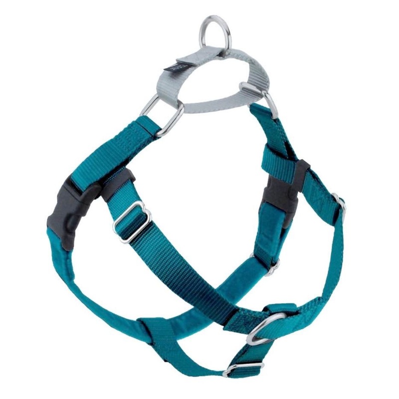2 Hounds Design Freedom No-Pull Dog Teal 5/8"S 20"24"