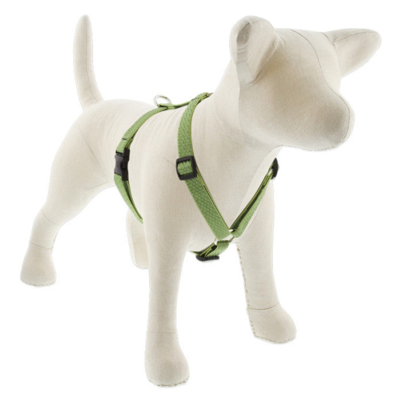 Lupine Eco Roman Dog Harness 3/4" x 12"-20" Moss