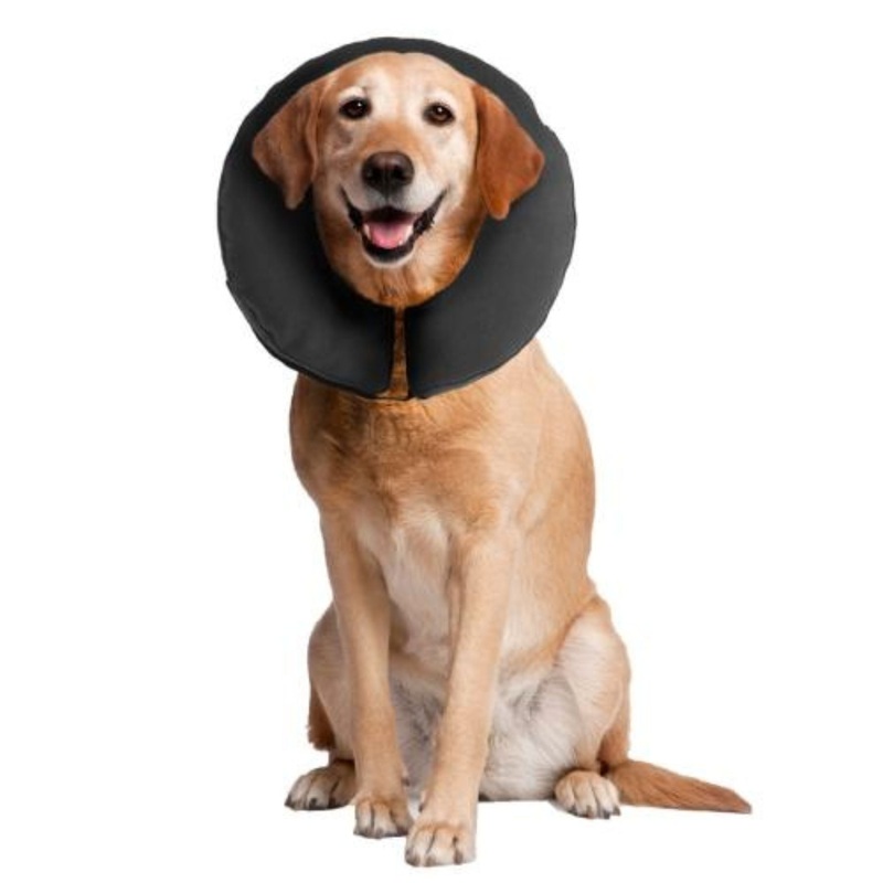 ZenPet ZenCollar Inflatable Recovery Collar X-Large