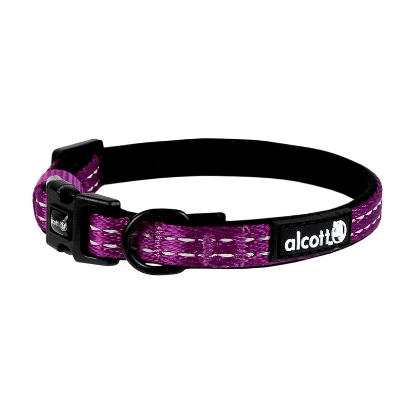 Alcott Adventure Collar Small Purple