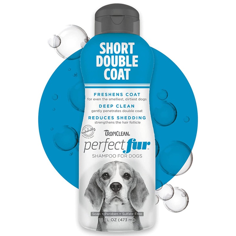 Tropiclean PerfectFur Short Double Coat Shampoo For Dogs 16oz
