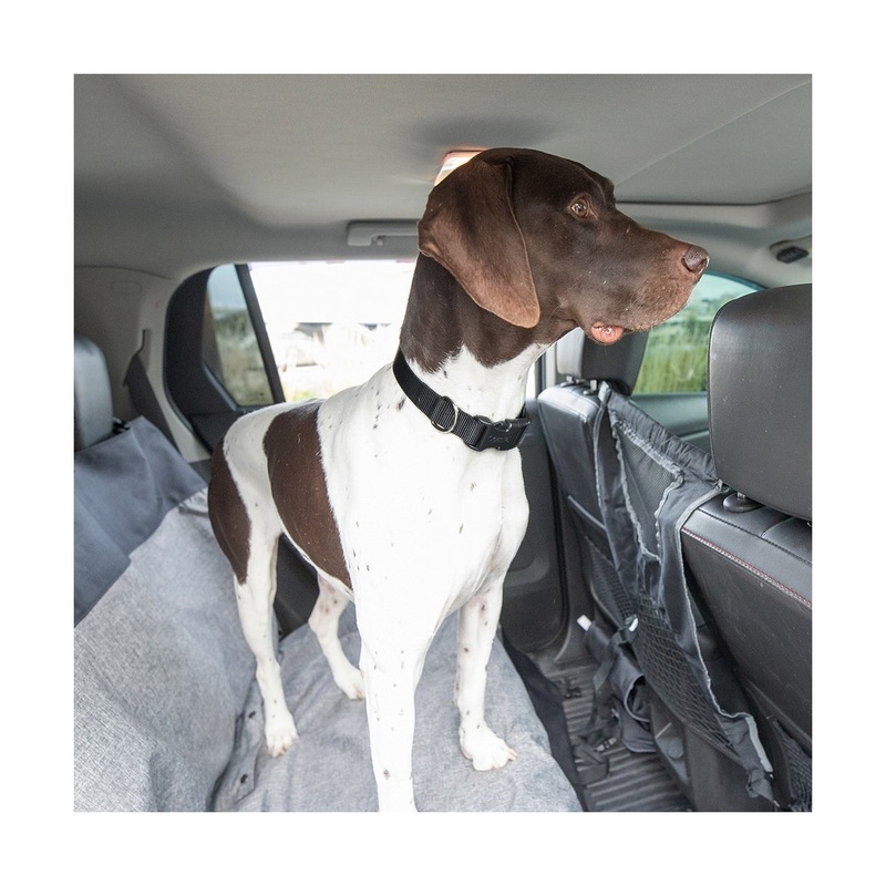 Bergan Pet Travel Barrier