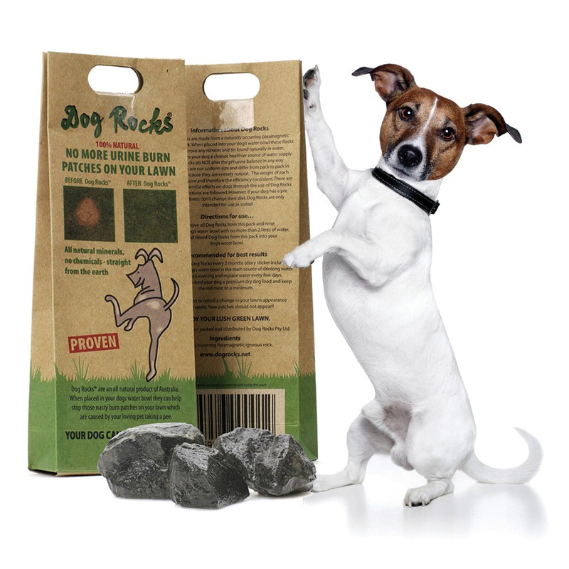 Dog Rocks 200gm Bag