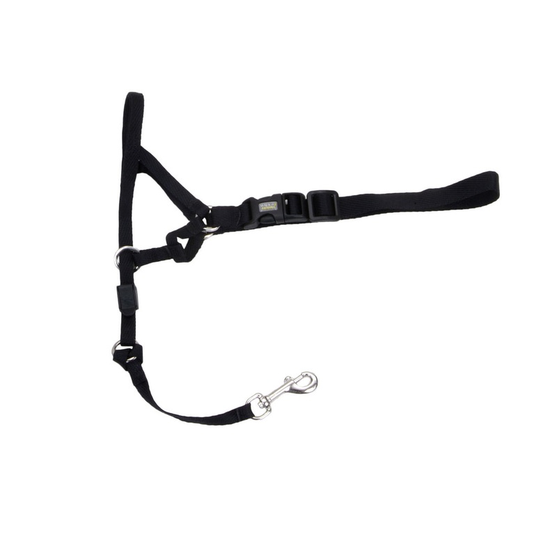 Walk 'n Train! Dog Head Halter Black Large Size 3