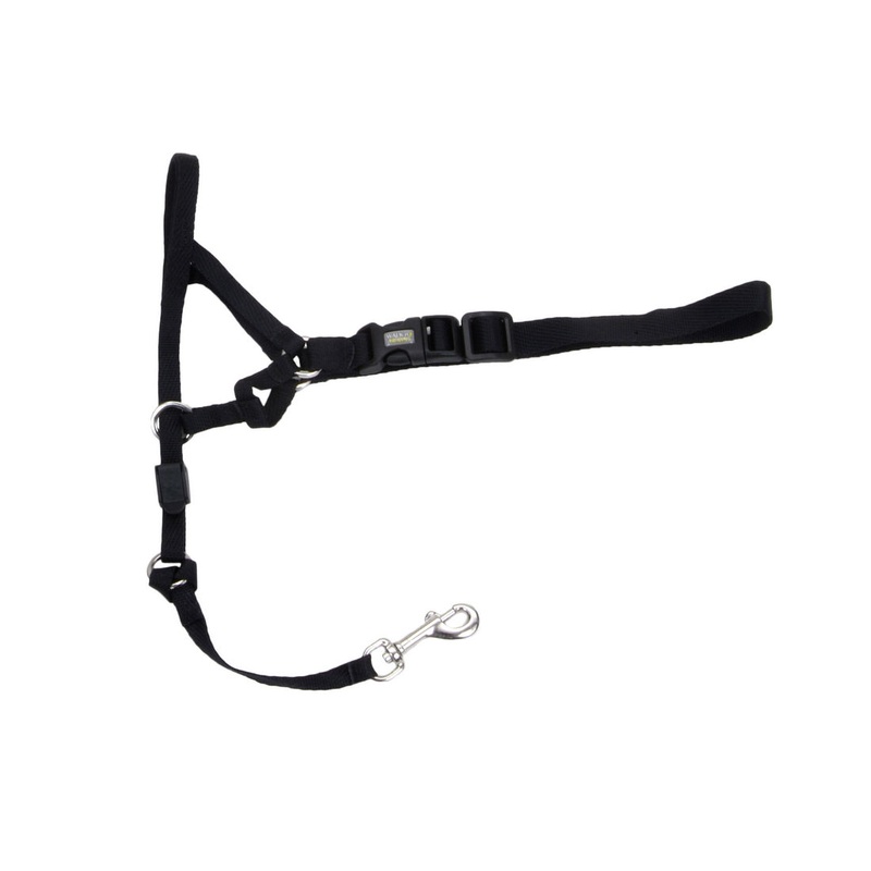 Walk 'n Train! Dog Head Halter Black Medium Size 2
