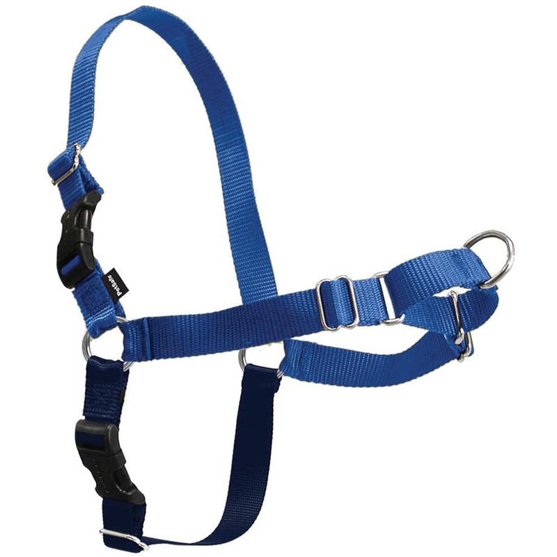 PetSafe Easy Walk Harness Large Blue
