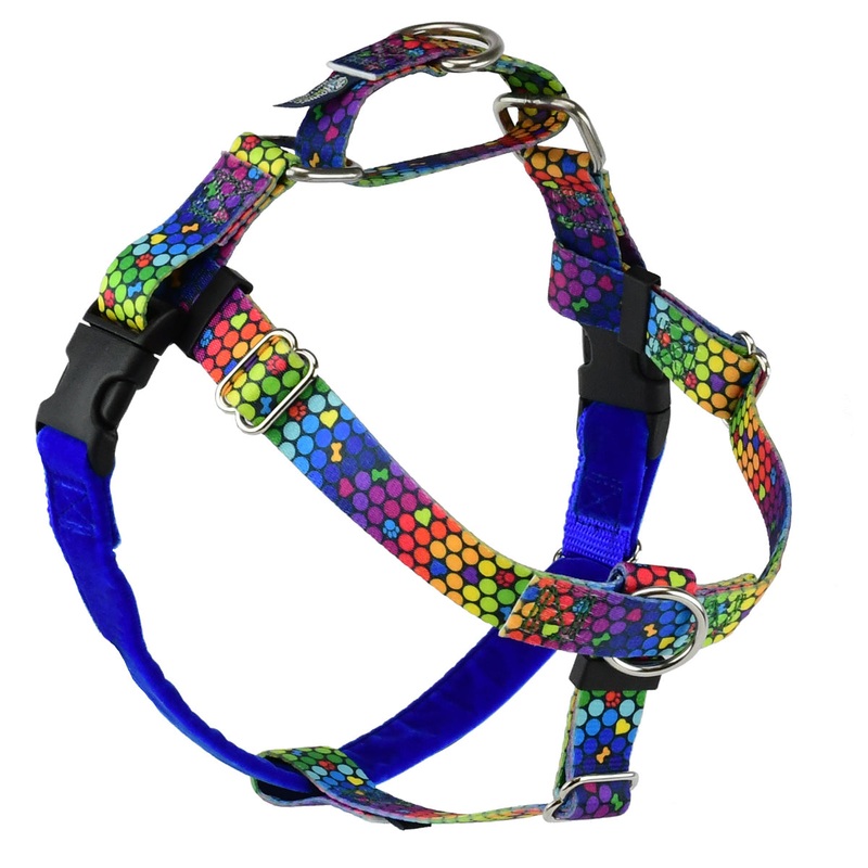 2 Hounds Design ROY G BIV Freedom No-Pull Dog Harness EarthStyle 5/8" Medium 24"-28"