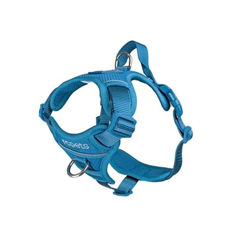 RC Pets Momentum Harness XLarge Dark Teal