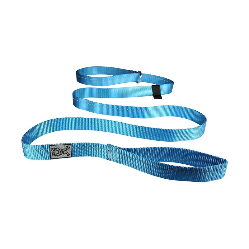 RC Pets Primary Dog Leash 1" Cyan