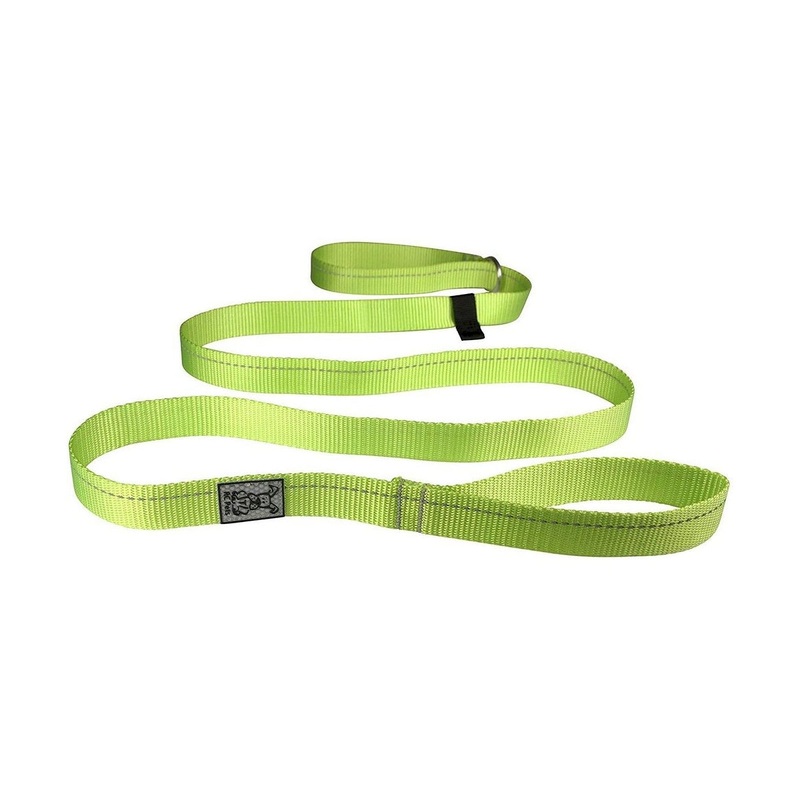 RC Pets Primary Dog Leash 1" Lime