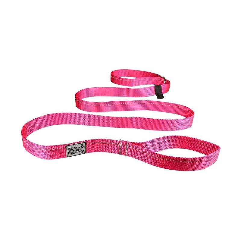 RC Pets Primary Dog Leash 1" Raspberry