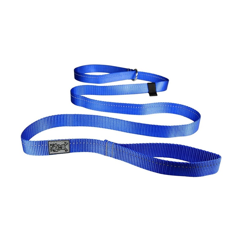 RC Pets Primary Dog Leash 1" Royal Blue