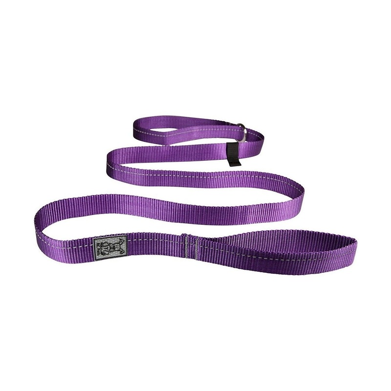 RC Pets Primary Dog Leash 3/4" Purple