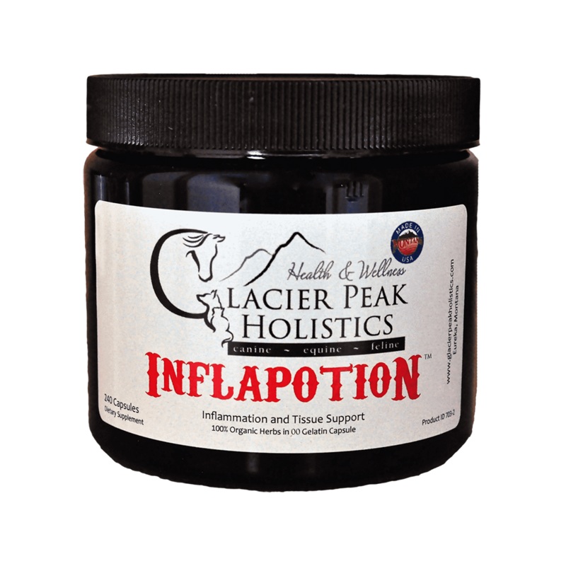 Glacier Peak Holistics Inflapotion Herbal Remedy for Dogs 120-Count
