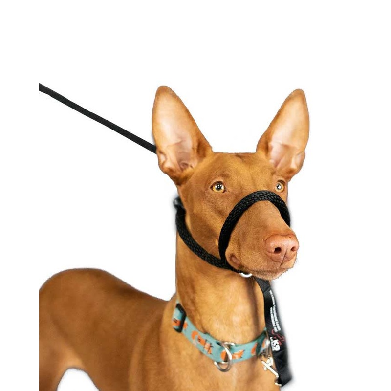 Heather's Heroes Mini Sidekick No-Pull Dog Leash - Small 1/4", 6ft