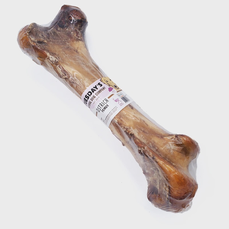 Tuesday's Natural Dog Company Ostrich Femur Bone Dog Chew
