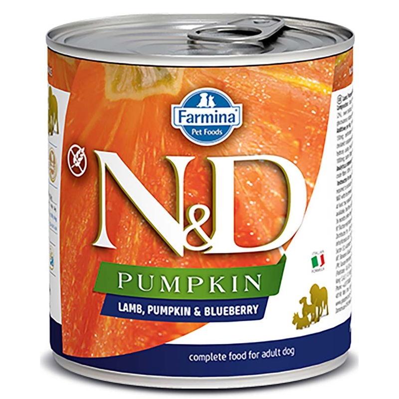 Farmina N&D Pumpkin Lamb & Blueberry Wet Dog Food 10oz