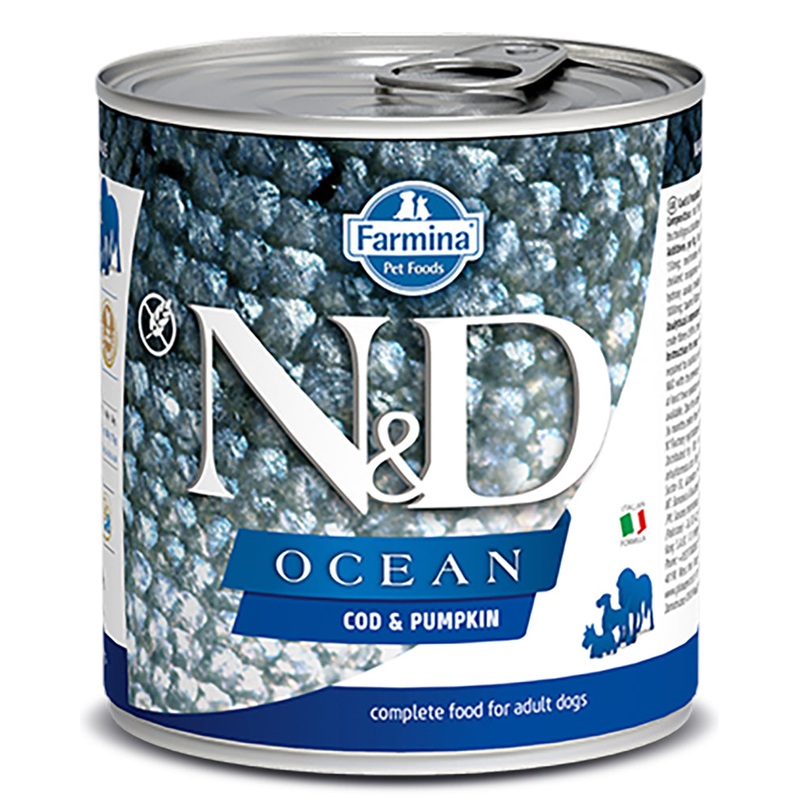 Farmina N&D Ocean Cod & Pumpkin Wet Dog Food 10oz