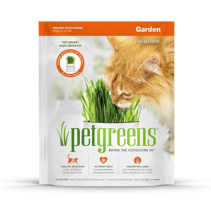 Pet Greens Cat Treats - Garden Wheat Grass Self-Grow Kit