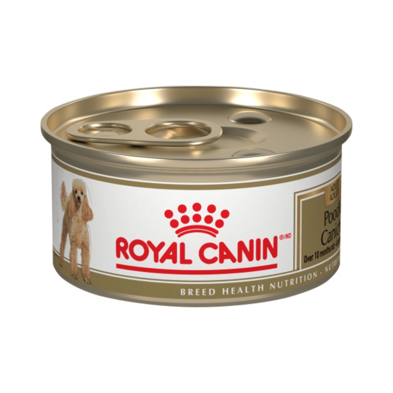 Royal Canin Wet Dog Food - Poodle Loaf in Sauce Canned